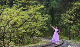 风景哥爆料的视频在哪看,独家视角带你领略精彩瞬间